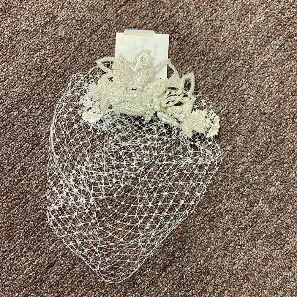 Birdcage or French net veil